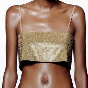Zara Shimmery Crop Top